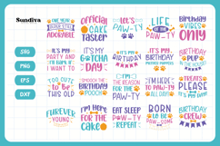 20 Cute Birthday Dog Bandana Quote SVG Bundle Product Image 8