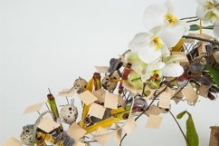 Composition of spring flowers on white background Product Image 1