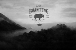 Nature Bundle V2 Logo Creator Product Image 2