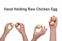 Hand Holding Raw Chicken Egg Isolated on White Background Product Image 1