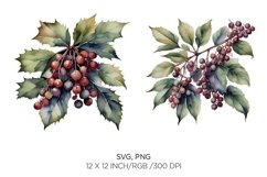 christmas flower, hollyberry, winter floral bundle Product Image 1