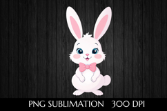 Charming Easter Bunny Product Image 1