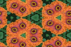 12 abstract Seamless colorful FLOWER patterns pack. Product Image 5