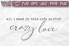 All I Need In This Life is Your Crazy Love SVG-Wood Sign SVG Product Image 2