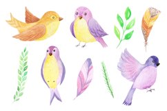 Watercolor Birds Set Product Image 4