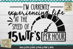 Experiencing Life SVG | WTF svg | Funny quotes | Life quotes Product Image 2