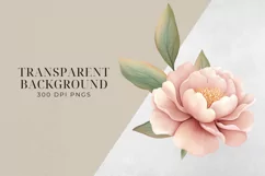 Blush Pink Peony Flowers Clipart, PNG. Product Image 2