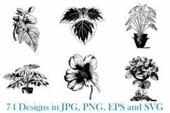 74 Woodcut Vintage Floral and Garden Illustration Collection Product Image 2