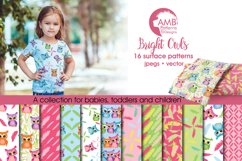 Bright Owls Patterns, Feather and Owl Papers, AMB-453 Product Image 1