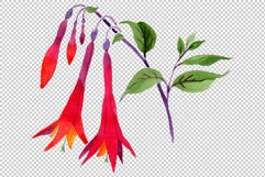 Orange-red Fuchsia watercolor png Product Image 9