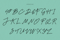 Mr. Skywhale - A Handwritten Script Font Product Image 11