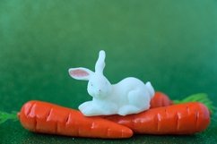 White rabbit sitting on bright orange carrot Product Image 1