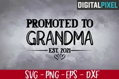 Promoted To Grandma Est 2021 Svg, New Grandma Svg Product Image 1
