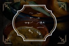 Web Font Orange Brandy Product Image 4