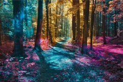 Enchanted forest pathway at dawn Product Image 1