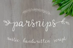 Parsnips Rustic Handwritten Script - Free Font Of The Week Product Image 1
