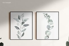 Watercolor eucalyptus clipart Product Image 5