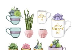 Succulent Plants - Clipart Product Image 2