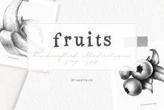 Hand drawn Fruit Collection Product Image 14