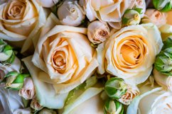 Beautiful floral card concept with fresh roses Product Image 1