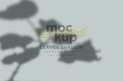 Leaves Shadow Overlay Effect Mockup Product Image 1