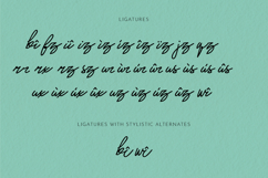 Mr. Skywhale - A Handwritten Script Font Product Image 12