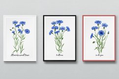 Watercolor prints.Digital prints of Cornflowers.Wall art Product Image 1