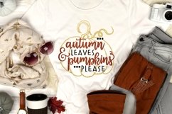 Autumn Leaves And Pumpkins Please SVG DXF PNG Product Image 1