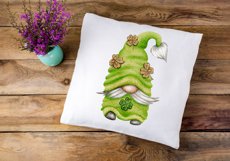 St Patrick Gnomes Product Image 9