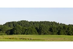summer landscape Product Image 1