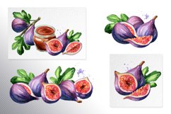 Fig fruit. Watercolor collection Product Image 3