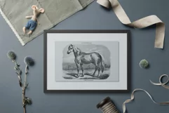 Horse Clipart Black and White Vintage Grand Race Percheronne Product Image 4