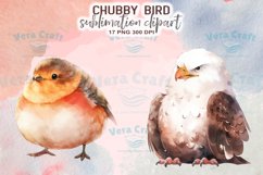 Chubby Bird Watercolor Sublimation Clipart Product Image 2