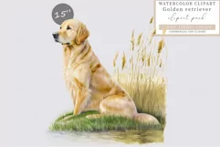 Golden retriever clipart, Dog clipart, Product Image 1