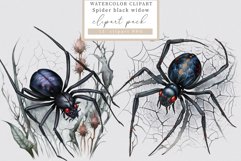 Spider clipart, Halloween sublimation, Goth clipart Product Image 1