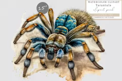 Tarantula clipart, Spider clipart, Halloween clipart, Product Image 1