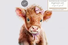 Highland calf clipart, Highland cow clipart, Product Image 1