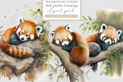 Red panda clipart, Animals clipart, Watercolor clipart Product Image 1