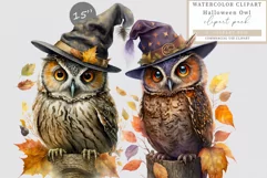 Halloween clipart, Owl clipart, Witch owl clipart, Product Image 1