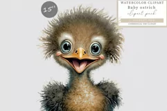 Baby ostrich clipart, Safari clipart, Watercolor clipart Product Image 1