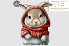Bunny clipart, Christmas sublimation, Winter clipart Product Image 1