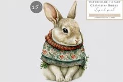 Bunny clipart, Christmas clipart, Winter sublimation Product Image 1