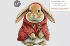 Bunny clipart, Christmas sublimation, Winter clipart Product Image 1