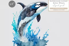 Killer whale clipart, Animals clipart, Watercolor clipart Product Image 1