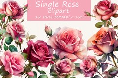 Single rose clipart, Rustic roses clipart, Watercolor roses Product Image 1