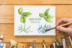 Elaeagnus leaves Watercolor png Product Image 8