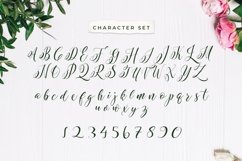 Web Font Notation Vector Flowers Product Image 4