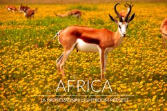 Africa Lr Presets Product Image 1