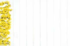 Spring floral background with gelb flowers stock photo Product Image 1