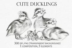 Cute ducklings with flowers and ladybug PNG, 300 dpi Product Image 1